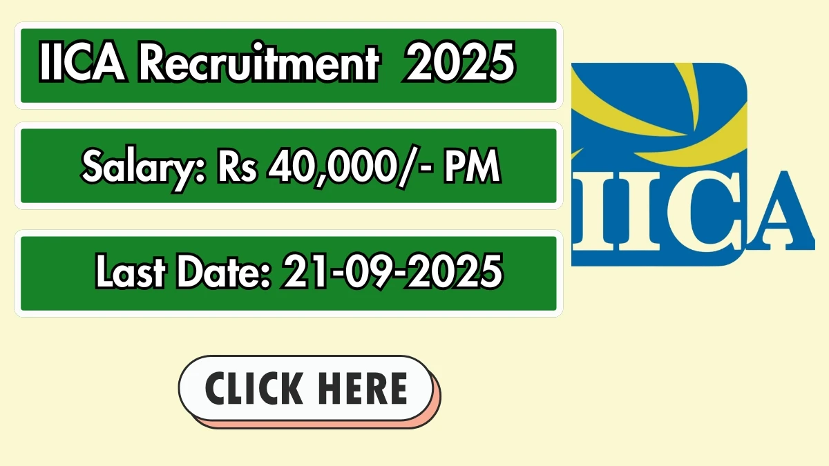 IICA Consultant Recruitment 2025 - Apply Offline by Sep 21